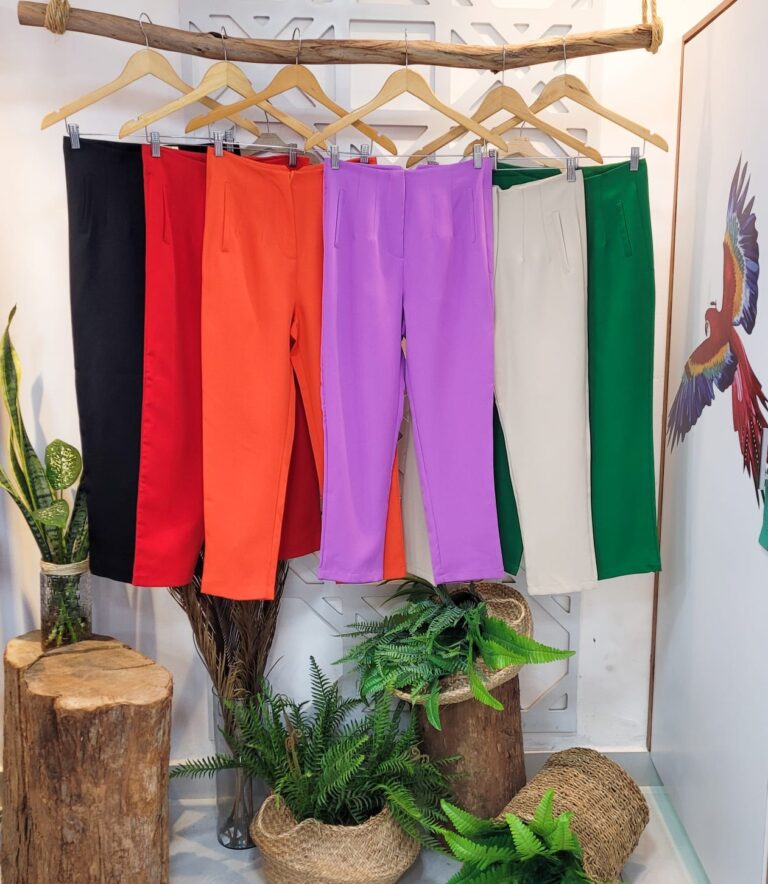 calça alfaiataria bela
